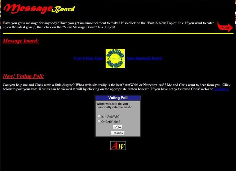 AntWeb message board page, circa 1997: red and yellow headings on black, a message board powered by Amazing Forums, and a voting poll asking whose website is better, AntWeb or Chris's.
